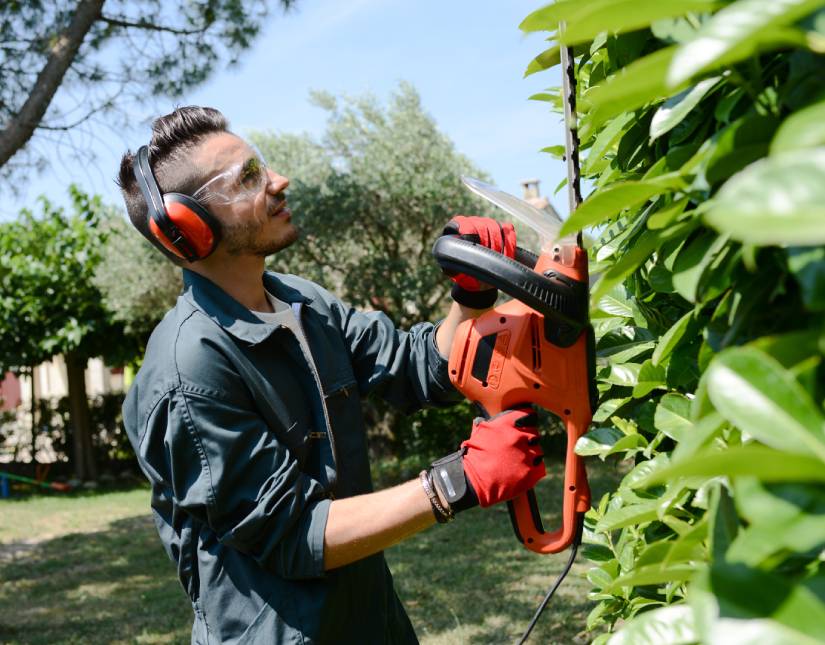 Jardinier taille une haie